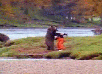 Bear-Vs-Man-Kung-Fu-Fight-In-The-Wild_zpsde755278.gif