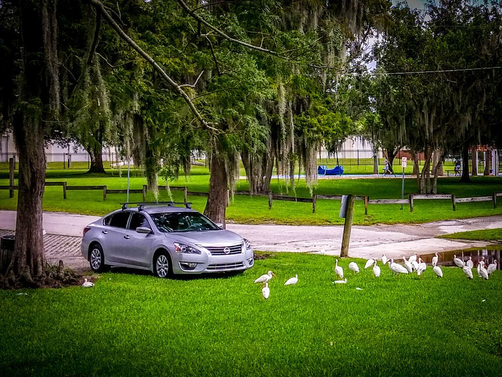 2014 3.5SL Altima Need help with finding a roof rack system to carry