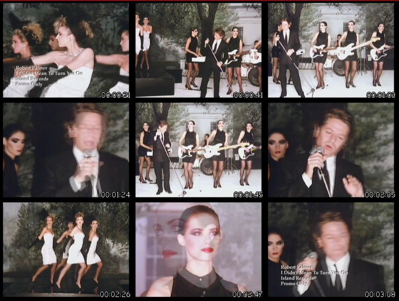 ROBERTPALMER-IDIDNTMEANTOTURNYOUONvob-.jpg