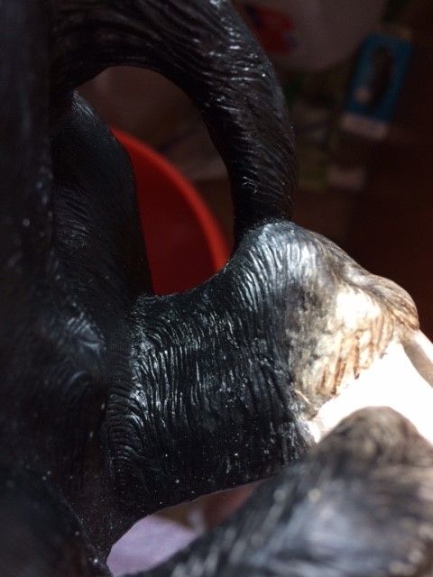 Closeup of inside of leg