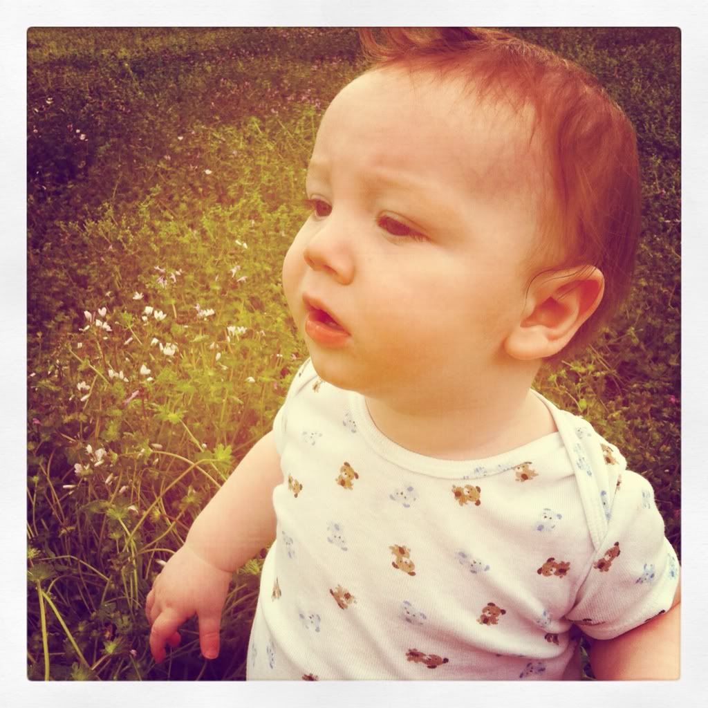 Extreme hair color change in lo(pics) BabyCenter