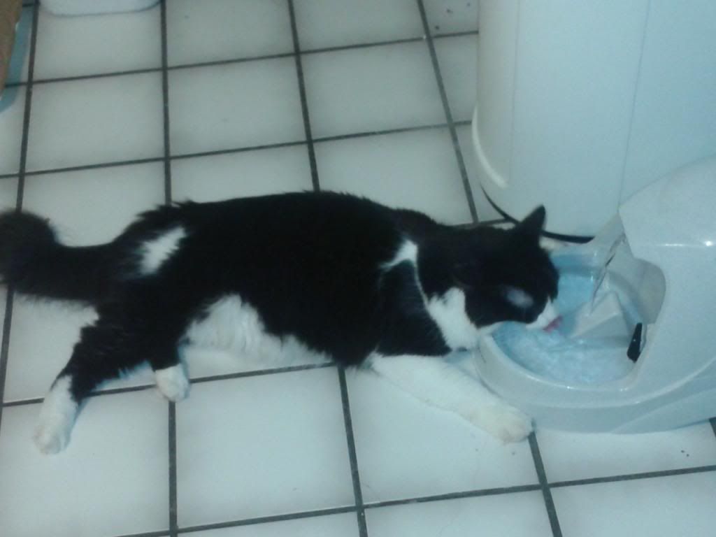  photo 2013-09-11201328_zps6c182d50.jpg