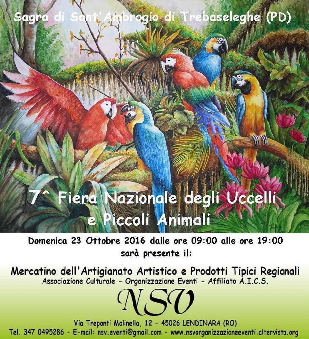 photo Flyer 17_zpslv1knvgf.jpg