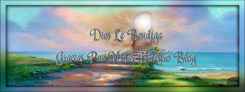  photo pielera.jpg