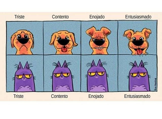 LA VERDAD ACERCA DE PERROS Y GATOS la verdad acerca de perros y gatos: