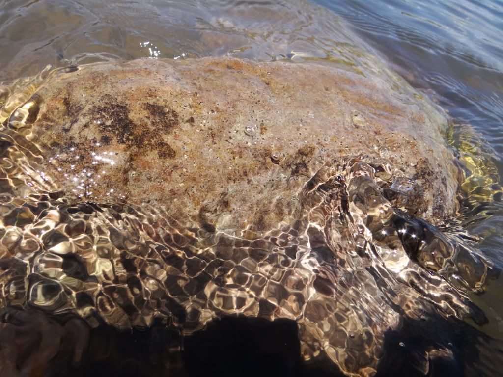 foto foto