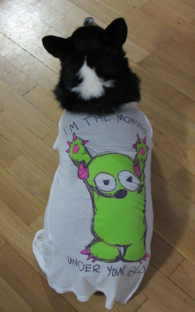 I'm The Monster Under Your Bed