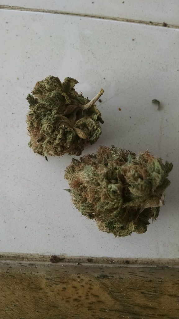 photo IMG_20161012_104454779_zpssofje7jy.jpg