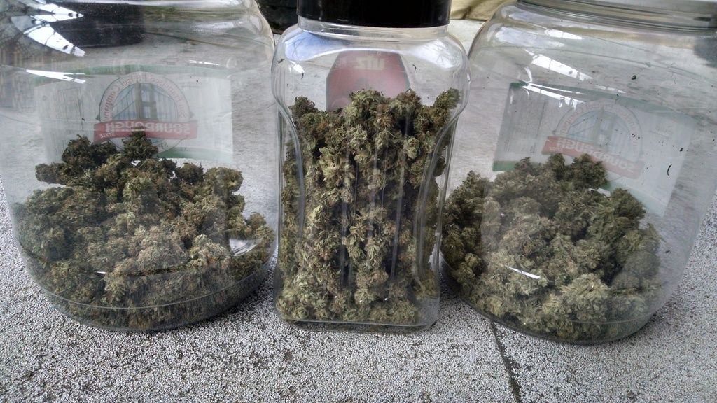 photo IMG_20161012_104609910_HDR_zpsyebtizua.jpg