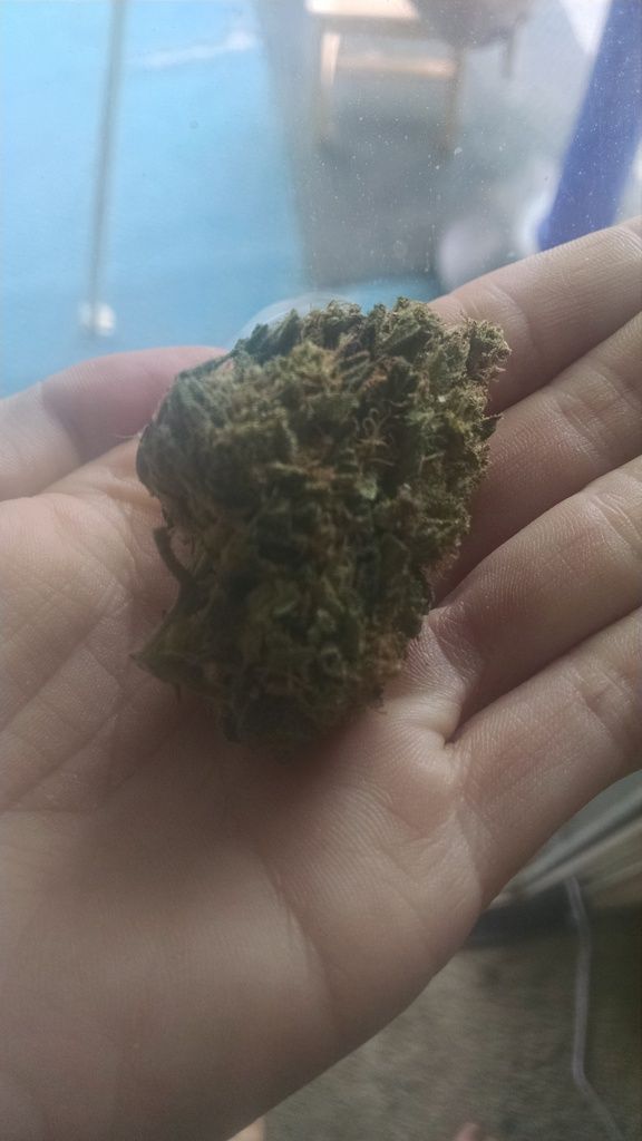 photo IMG_20161017_113606665_zpsp2g80csz.jpg