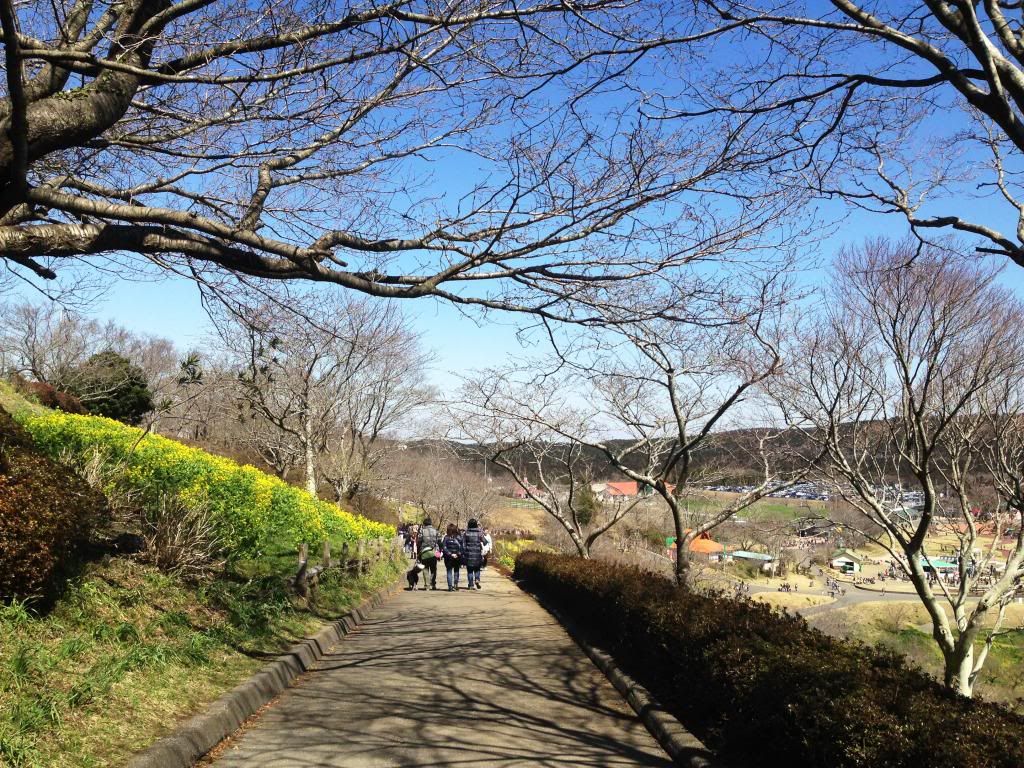 ande-anna: perfect for a stroll at mother farm, chiba japan