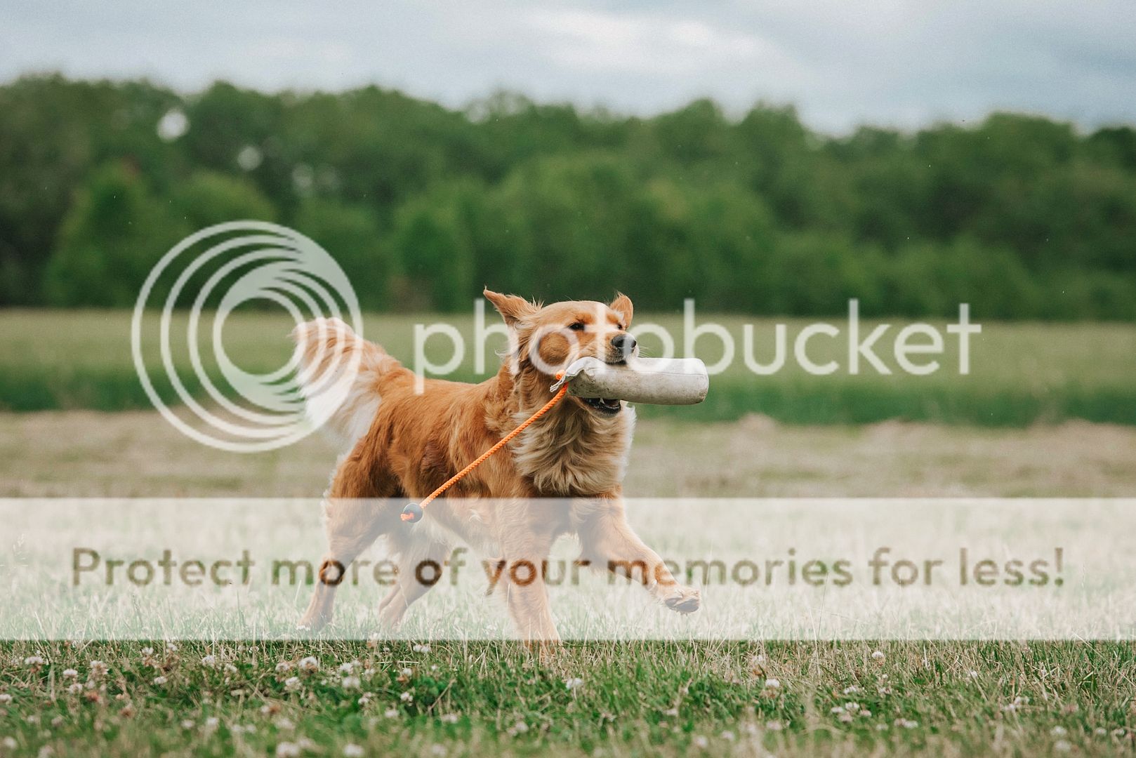 Photobucket - Video and Image Hosting