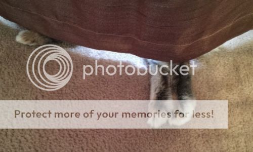  photo de183cb8-d20f-44ce-b8d7-2a013f0d8b68_zpswserdcy4.jpg